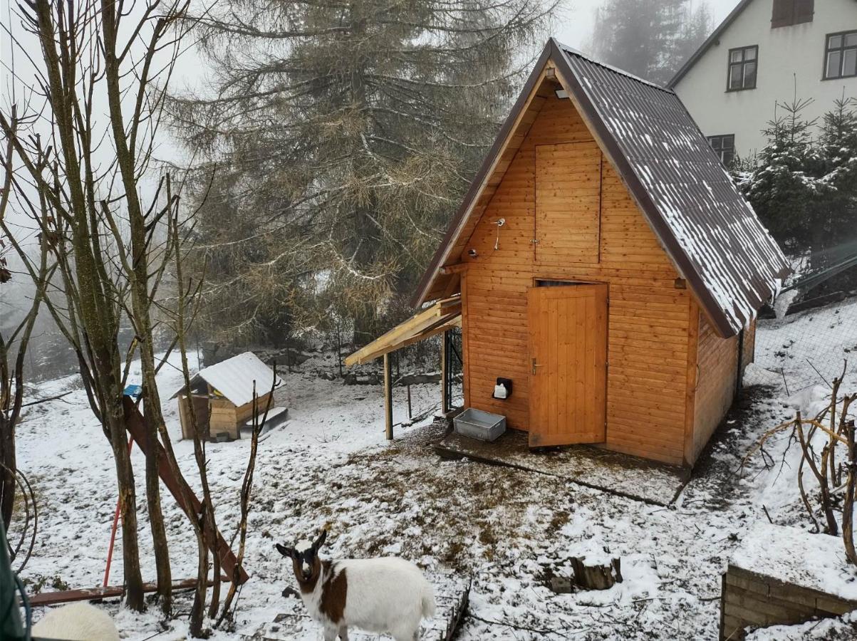 U Berňáků Apartmán Abertamy
